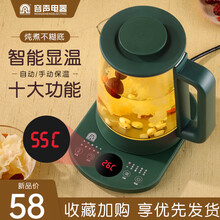 容声养生壶 多功能迷你煮茶器办公室全自动电煮花茶壶煮药锅家用电热水壶烧水壶器 RS-SK03标配款绿色