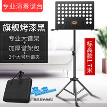 京炫（JINGXUAN)乐谱架琴便携式家用吉他架子鼓小提琴古筝升降折叠曲谱台书架 【标高】【1.7米】黑+2谱夹+包