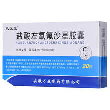 孔医生 盐酸左氧氟沙星胶囊 0.1g*20粒cs急性细菌性鼻窦炎 慢性支气管炎急性细菌性发作 标准装