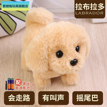 舔舔哈哈汪玩具狗可以溜的狗真毛电子女孩礼物泰迪哈哈喝汪舔男孩23456岁遛 金毛 电池款