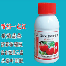 利沃风 番茄一抹一点颜色红 营养催红素苹果柑橘辣椒番茄圣女果葡萄催熟剂催红剂上色着色剂水溶叶面肥 1瓶 100克/瓶