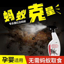 蚂蚁药家用室内外厨房灭蚂蚁除杀黑红黄白蚂蚁 2瓶装【适用100平方】