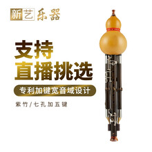 新艺乐器 葫芦丝乐器 紫竹加5键超九孔葫芦丝乐器专业演奏型C/降B调9孔宽音 成人 【天然葫芦+紫竹G调】反手加5键