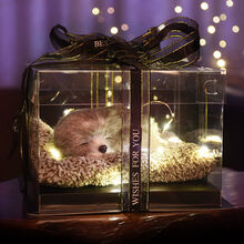 生日礼物送女生闺蜜少女心520情人节送女友朋友姐妹实用ins浪漫创意 小哈士奇礼盒 17*17*12cm