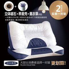 恒源祥同款家纺严选品质 决明子枕头单人荞麦皮护颈椎枕双人枕芯一对装整头成人家用v7 【一对装】深蓝双边+磁石+荞麦壳+薰衣草枕头