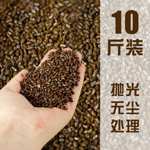 决明子玩具沙池套装大颗粒儿童家用室内宝宝沙土挖沙玩沙子沙滩池 10斤决明子无尘抛光处理