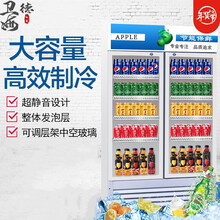 冷藏展示柜冷藏保鲜柜立式商用冰箱双门超市开门饮料柜冰柜冷藏柜 白色1米双门588升