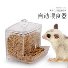 小囧家 仓鼠自动喂食器蜜袋鼯食盆蜜袋鼬用品刺猬松鼠食盒防翻透明大开口松鼠飞鼠食碗食具大容量