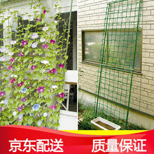 瑾禾  葡萄爬藤网 蔷薇爬藤线 丝瓜黄瓜南瓜百香果爬藤架网子 1.8*2.7米爬藤网