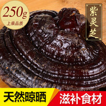 敬贤堂 灵芝 长白山紫灵芝灵芝片林下赤灵芝林芝切片 紫灵芝250g