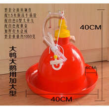 自动饮水器养殖场鸡用喂水普拉松鸡场养殖设备鸡鸭鹅全自动鸡水壶 特大号老款加高加厚