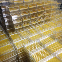 蜜蜂巢础中蜂意蜂巢蜜巢基巢蜜盒巢础片500g 250g 【中蜂】250g装(36片)