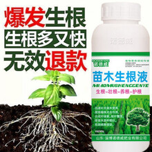 生根壮根剂生根粉生根液移栽扦插果树花卉绿萝强力发根剂 苗木生根液500克