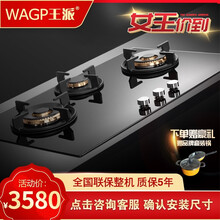 王派集成一米升降油烟机进口SABAF炉头三眼灶多眼灶大容量蒸烤箱一体 三眼进口灶