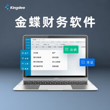 金蝶（kingdee）精斗云云会计V3 金蝶财务软件 小企业会计做账记账软件网络版20帐套3用户