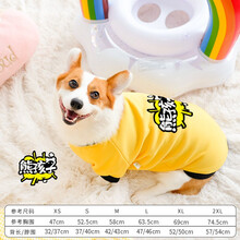 InnoPet潮牌柯基衣服狗狗秋装泰迪柴犬秋季小型犬中型犬幼犬宠物秋冬 （柯基）亮黄熊孩子 柯基L胸围59cm-背长45cm