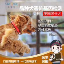 希诺谷狗狗泰迪金毛哈士奇等品种遗传病基因检测 英国可卡犬