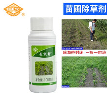 国光壹变静 乙氧氟草醚 绿篱灌木苗圃一年生杂草封闭型除草剂全除 石楠松柏杉树封闭除草剂 壹变静100毫升
