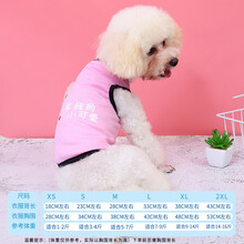 透狗衣服泰迪比熊春夏款宠物衣猫咪背心清凉薄款通用 抱紧我小可爱 S 背长23cm【建议3-4斤】