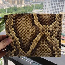 乐器皮二胡蟒皮二胡蛇皮蛇皮高胡蛇皮潮州二弦蟒皮 潮州二弦14宽12长