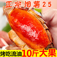 梓乐果 山东烟薯25号糖心蜜薯红薯新鲜10斤烤红薯农家沙地番薯地瓜香山芋 5斤 大果