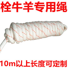 栓牛绳子的拴羊绳长10m/50m/100m米 栓羊绳子(长50m/粗12mm)