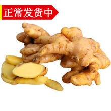 现货 云南新鲜小黄姜 嫩生姜黄姜月子姜 老姜 2斤（优选）老姜