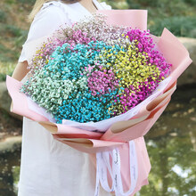 纤雅洁蓝色满天星干花大花束送男女生日礼物 P001彩色满天星花束