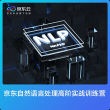 京东云 NLP-京东自然语言处理高阶实战训练课程