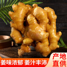 绿鲜人家 山东大姜生姜黄姜 水洗保鲜姜 新鲜蔬菜 精选装 3斤