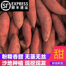 红薯新鲜5斤福建六鳌红心蜜薯10农家自种番薯沙地小地瓜 中果(细长居多，1斤4-5个左右) 5斤