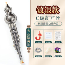 镀铜镀银葫芦丝C调降B调初学者小学生专业演奏型胡芦丝民族乐器 镀银款C调+全套赠品