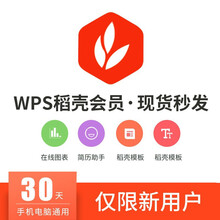 wps稻壳会员vip1年卡372天 PPT稻壳vip模板简历下载云字体激活码 wps和稻壳双会员1年