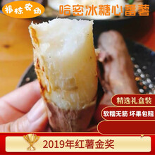 梓乐果 新疆品种哈密冰糖心板栗红薯新鲜白薯无筋白蜜薯地瓜番薯礼盒 甘薯王(单果7两以上) 3斤