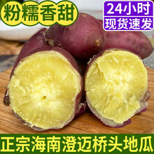梓乐果 海南澄迈桥头富硒地瓜新鲜沙地红薯现挖番薯带箱10斤批发 5斤 中果