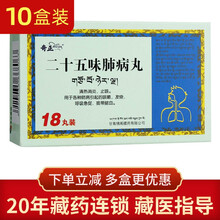 奇正 二十五味肺病丸 0.5g*18丸 10盒奇正二十五味肺病丸