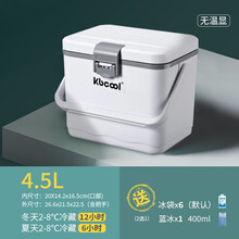 背奶包母乳上班背奶装备冷藏母乳储奶冰包存奶包保温保鲜上班便携式蓝冰袋冷冻箱 4.5L白无表送6冰袋