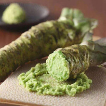 芥末种子调味庭院春秋四季阳台盆栽山葵蔬菜种孑绿芥末种籽 芥末种子5克原装×2包