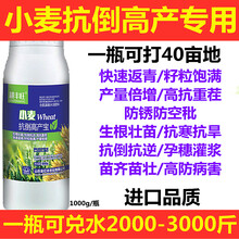 小麦叶面肥控旺高产素增产素分蘖抗倒伏缩节灌浆肥小麦抗倒高产宝 小麦抗倒高产1000ml（送量杯1套