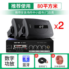 先科 P6壁挂音响无线蓝牙功放重低音音响套装店铺专用音箱室内商用超市餐厅挂壁式奶茶店服装店挂墙喇叭 100W功放+4吋重低音壁挂*2