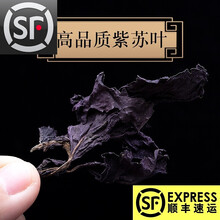 紫苏叶干紫苏叶中药500g克紫苏叶新鲜食用苏叶赤苏紫苏香苏叶 500g