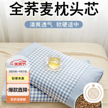 艾薇（AVIVI）枕头荞麦枕100%荞麦壳枕头枕芯安睡枕颈椎枕 浅蓝 一只装 35*55cm