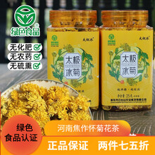 太极冰菊云台山太极冰菊特级玲珑菊韵游菊念露菊河南焦作怀菊花干菊花茶可搭同仁堂枸杞 25g*2罐