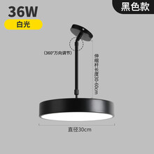 伦腾 led斜顶圆形吊灯餐厅火锅店简约现代客厅阁楼复式楼舞蹈教室吊灯 吊灯30cm36瓦黑色白光 杆30-60cm
