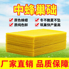 蜂础 中蜂巢础蜂蜡巢础片蜂巢片中锋巢础蜜蜂蜂巢深房蜂箱润之方巢础蜂具 【纯蜡巢础】30片/包