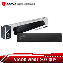 微星（MSI）VIGOR WR01 冰丝 掌托 冰丝莱卡 防滑底面 VIGOR WR01 冰丝 掌托