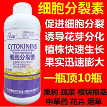 细胞分裂素多肉植物 促花促生长 爆芽素叶面肥 保花保果 增产增收 500克【1瓶装】