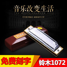 suzuki1072铃木口琴10孔C调口琴布鲁斯蓝调初学入门款口琴 D调