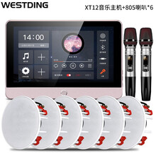 威斯汀（WESTDING）XT12智能家庭背景音乐主机系统套装家庭影院音响组合无线蓝牙吸顶音响喇叭 XT12主机+805喇叭×6