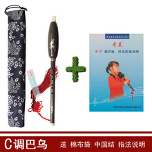 竖吹巴乌 C调巴乌+布袋+吹奏说明40页